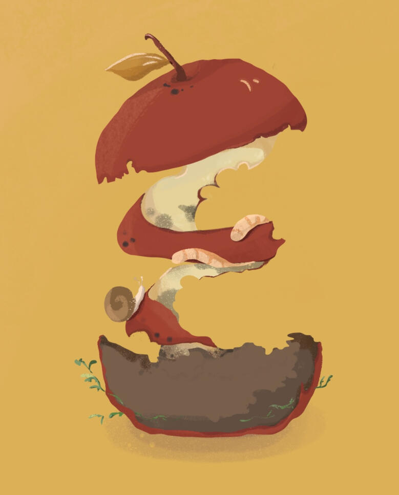 Apple Decay